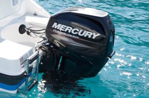 Mercury Turkey Quicksilver Activ 455 Open Standard Equipment/Equipment