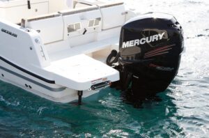Mercury Turkey Quicksilver Activ 755 Open Standard Equipment/Equipment