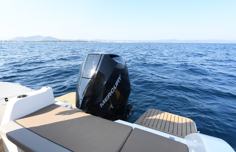 13675we_vp_5597-pelagalli