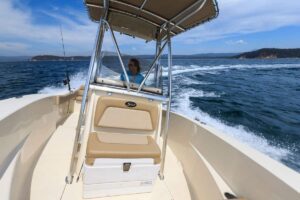 195 Sportfish Details