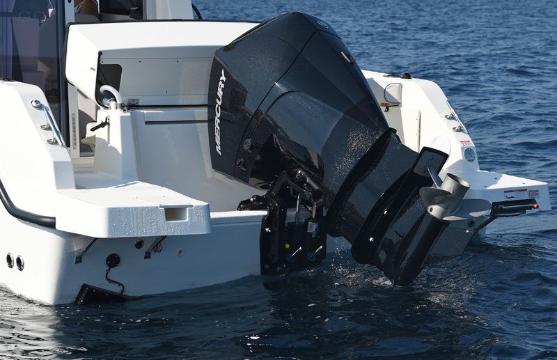 19805ph_vp_3699-pelagalli